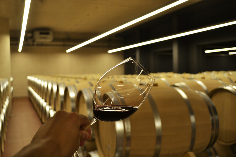 Wine from Ribera del Duero region