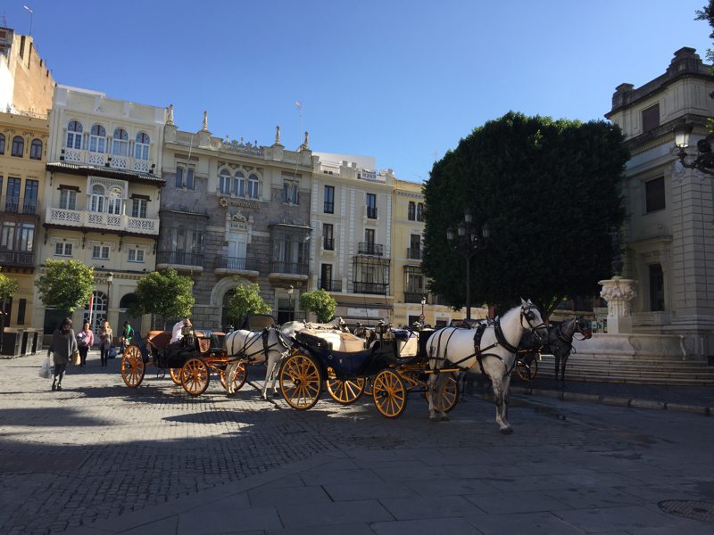 Seville horse and carriage