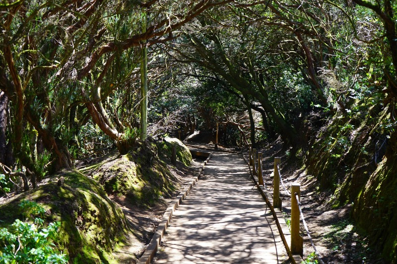 Anaga natural park in Tenerife