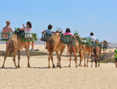 Camel Ride Maspalomas Dunes