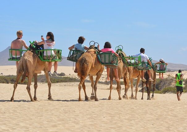 Camel Ride Maspalomas Dunes